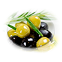 Zeytin & Zeytinyağları